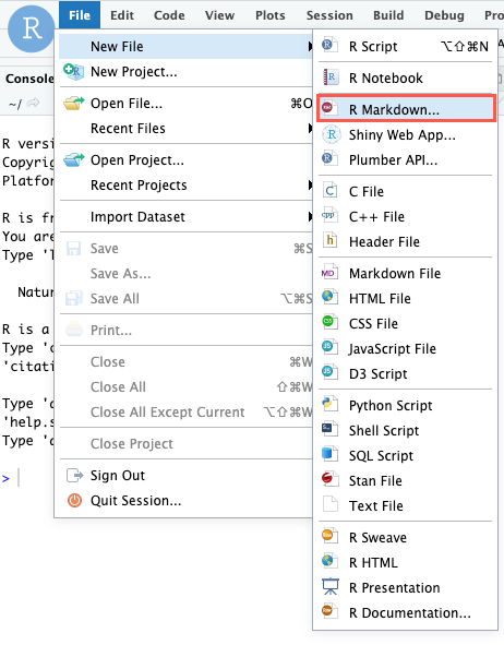 Screen capture of the RStudio IDE New File options