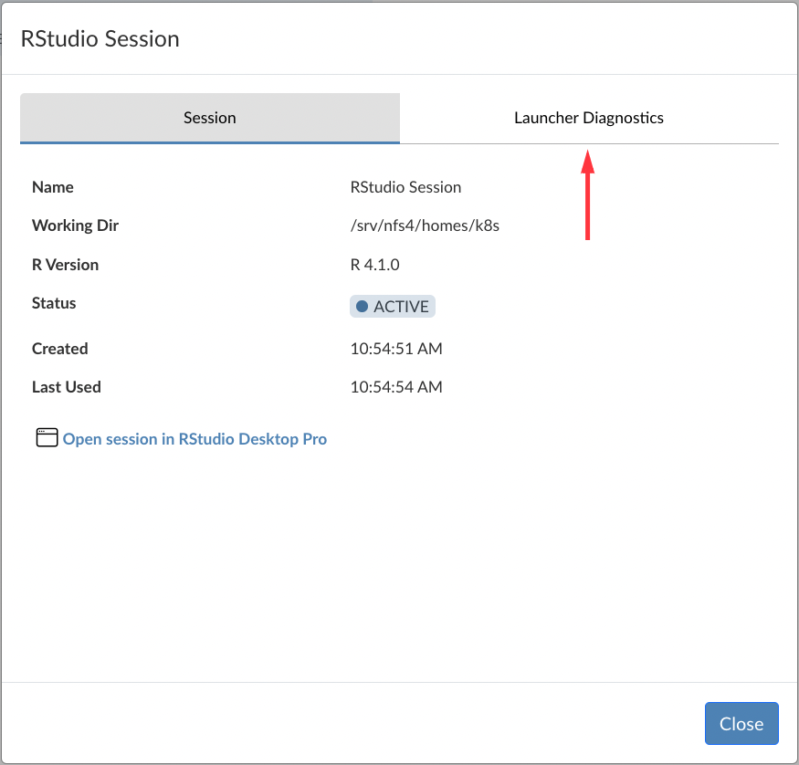 Workbench Home Page - Launcher Diagnostics Tab in Session Info Dialog Box